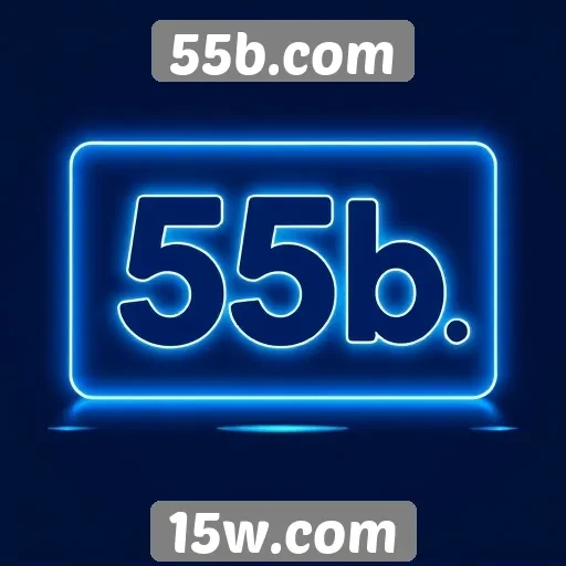 Estratégias de marketing adotadas pelo 55b.com